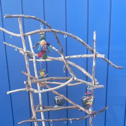 Parrot Perch Tree …. All Natural And Hard Ribbon Wood Lasts For Years… 👍🏼💯. AAA+  Quality … Yess We deliver !! ✅