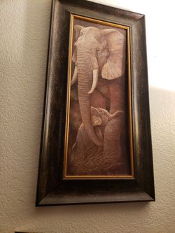 Animal pictures frames 2