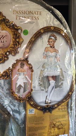Cinderella costume