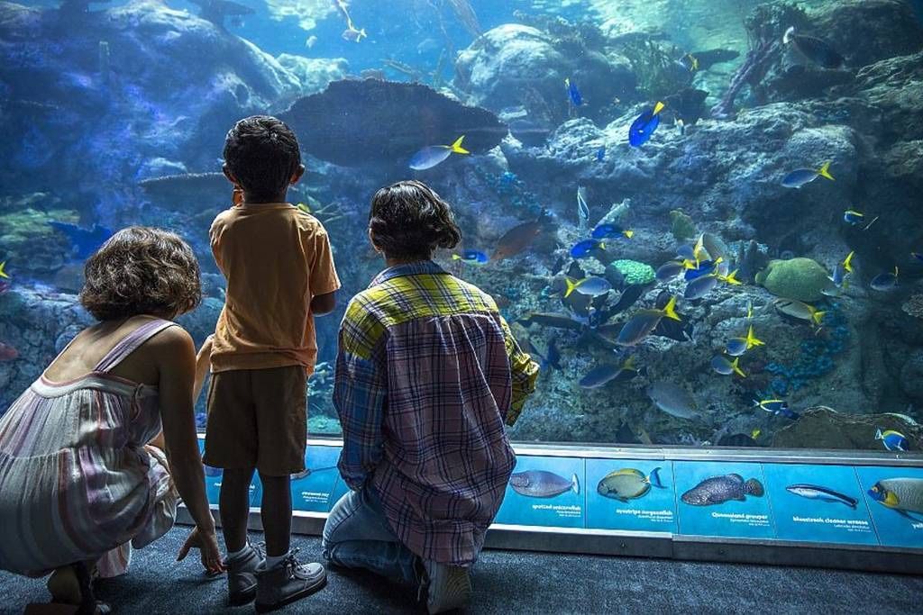 2 Child Aquarium Of The Pacific Tickets (3-11) 