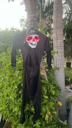 Boys medium pirate costume