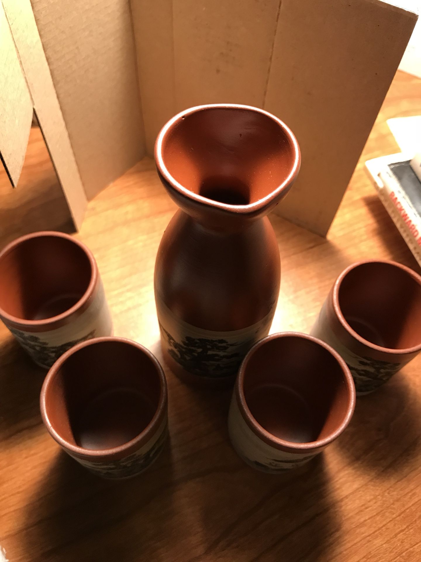 Sake Set (Ceramic and Decorative)