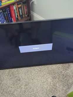 Vizio Flat 39" Screen TV with wall mount