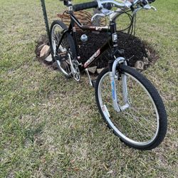 Haro Vector V1 9.5”