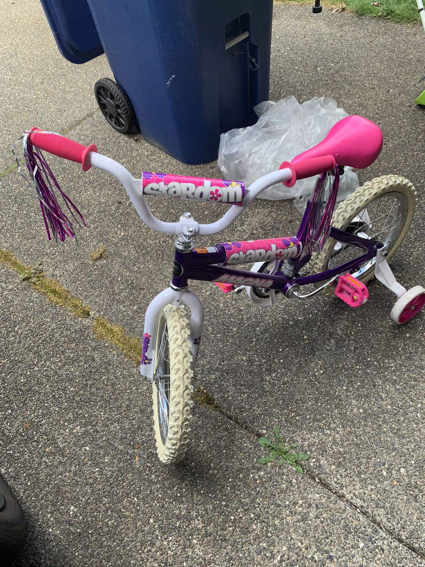 Magna Stardom 12” Girls Bike