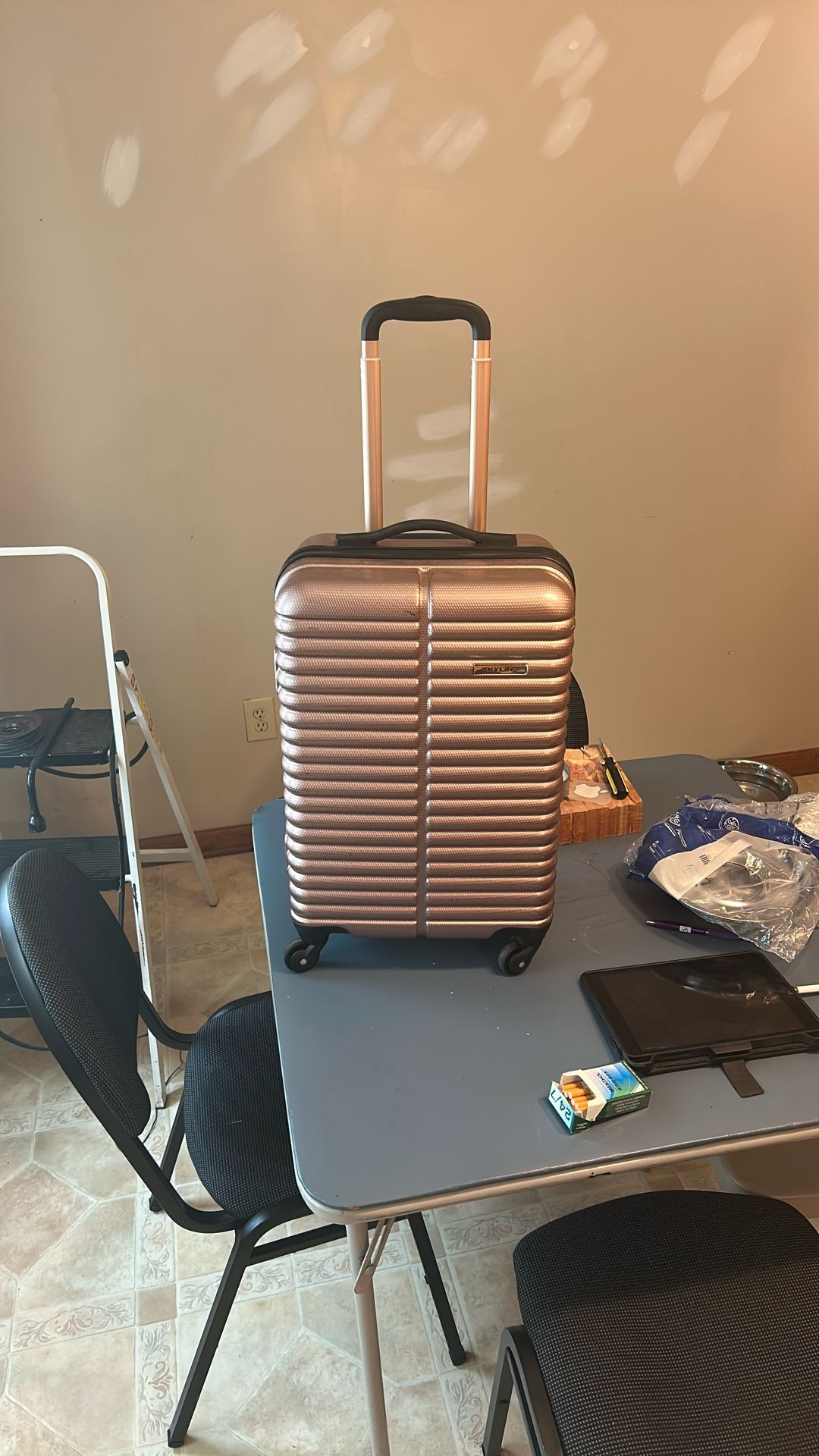 Pink skyline 20 inch rolling luggage