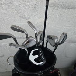 Golf Clubs  Set Irons And One Drive Left Handed With Vintage Bag 