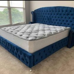 MS Q King Size Navy Blue Platform Bed