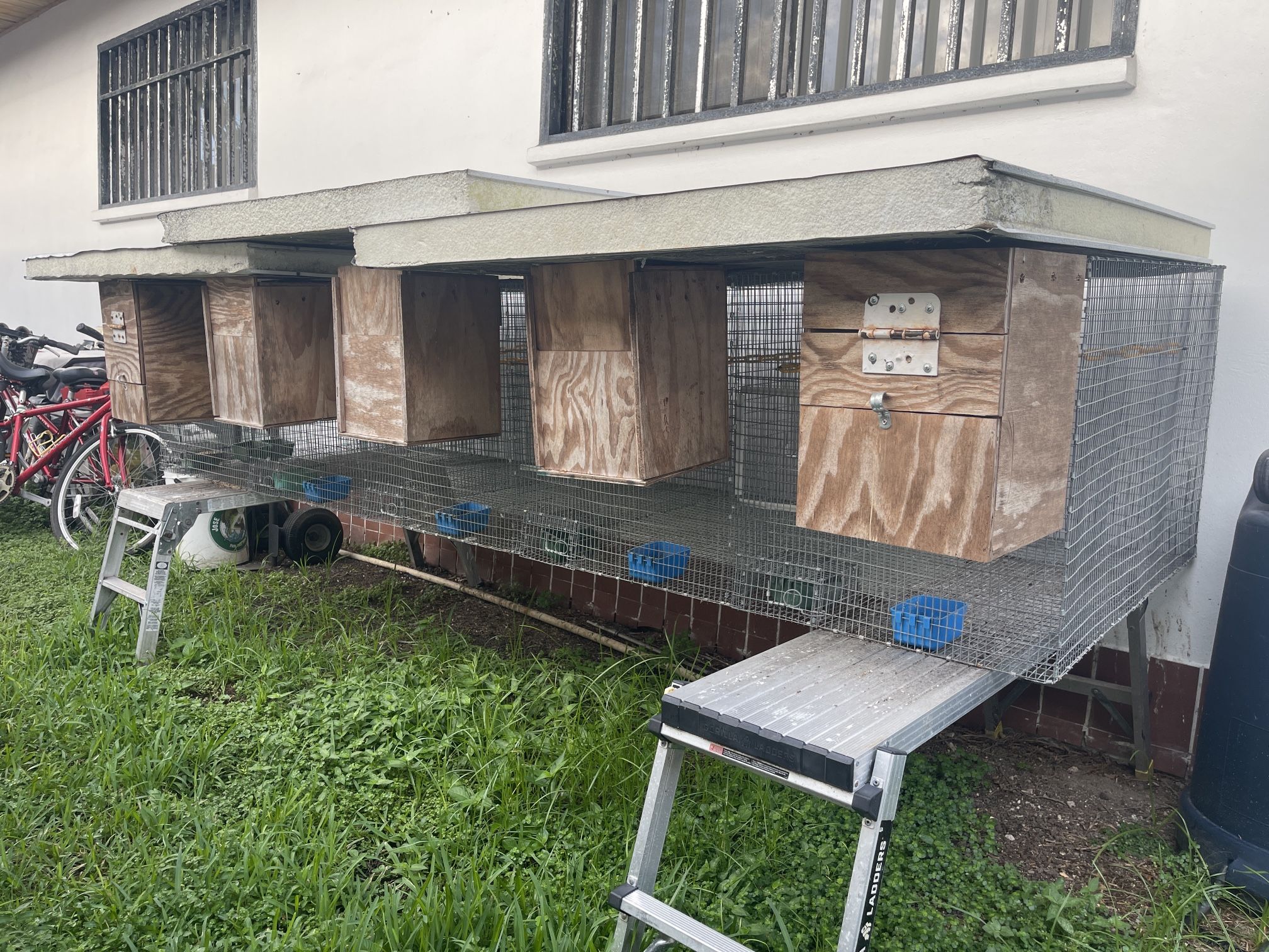 Bird Breeding Cage, Jaula 