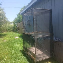 Bird Cage