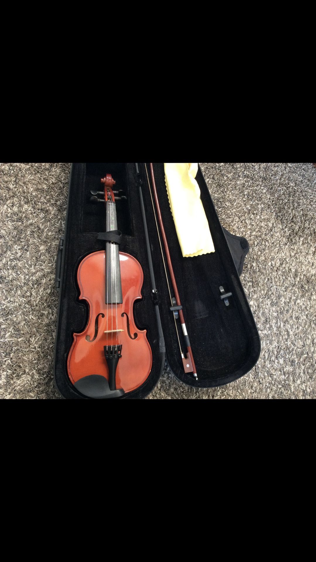 Violin with case