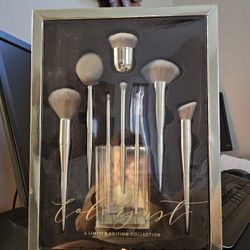 Makeup Brushes 
