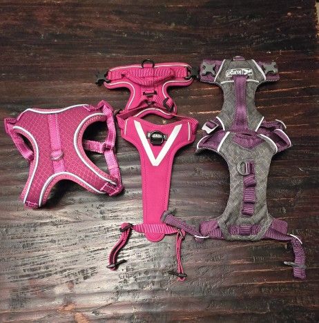 XS Dog HARNESS