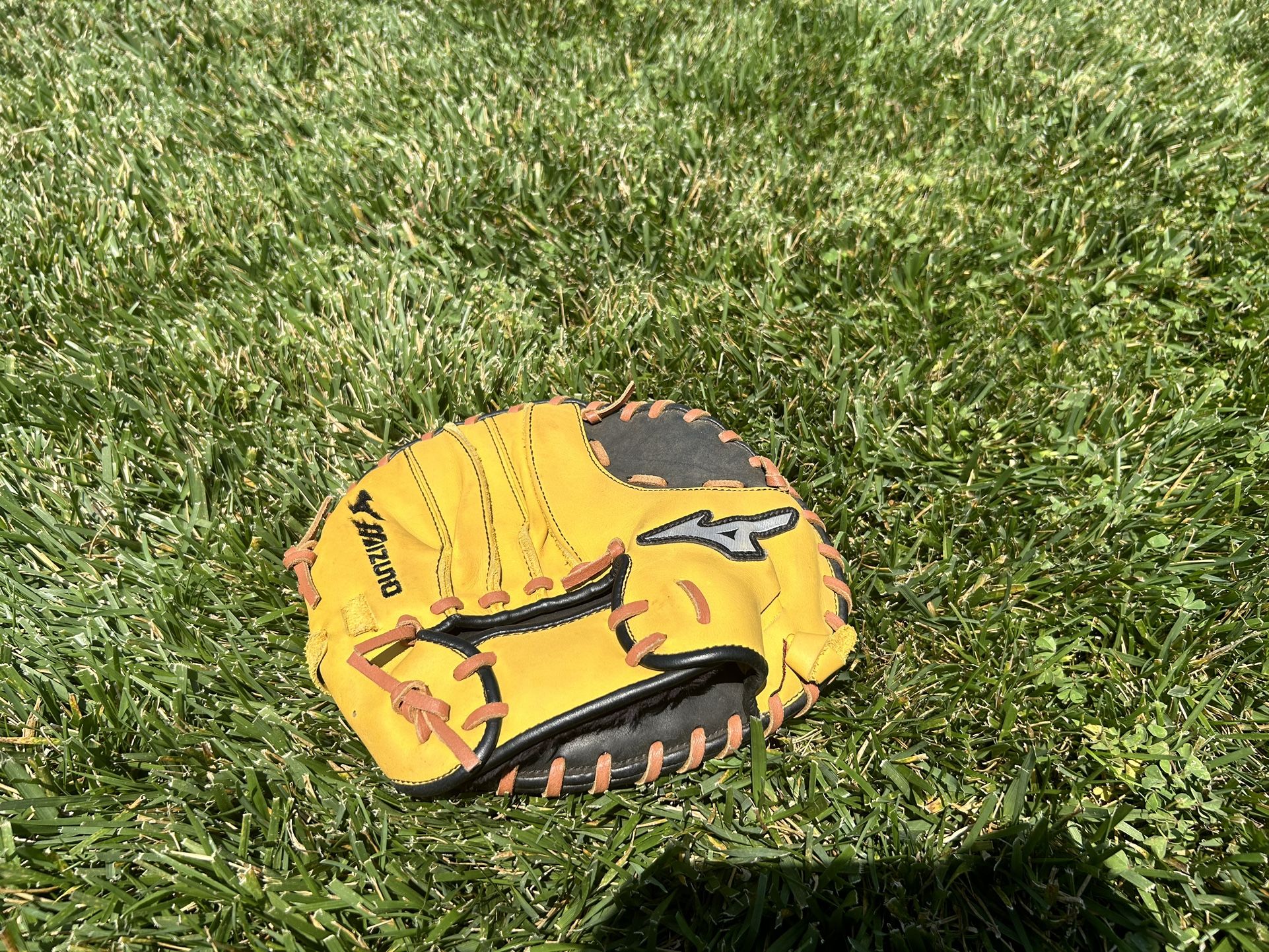 Training Baseball Glove