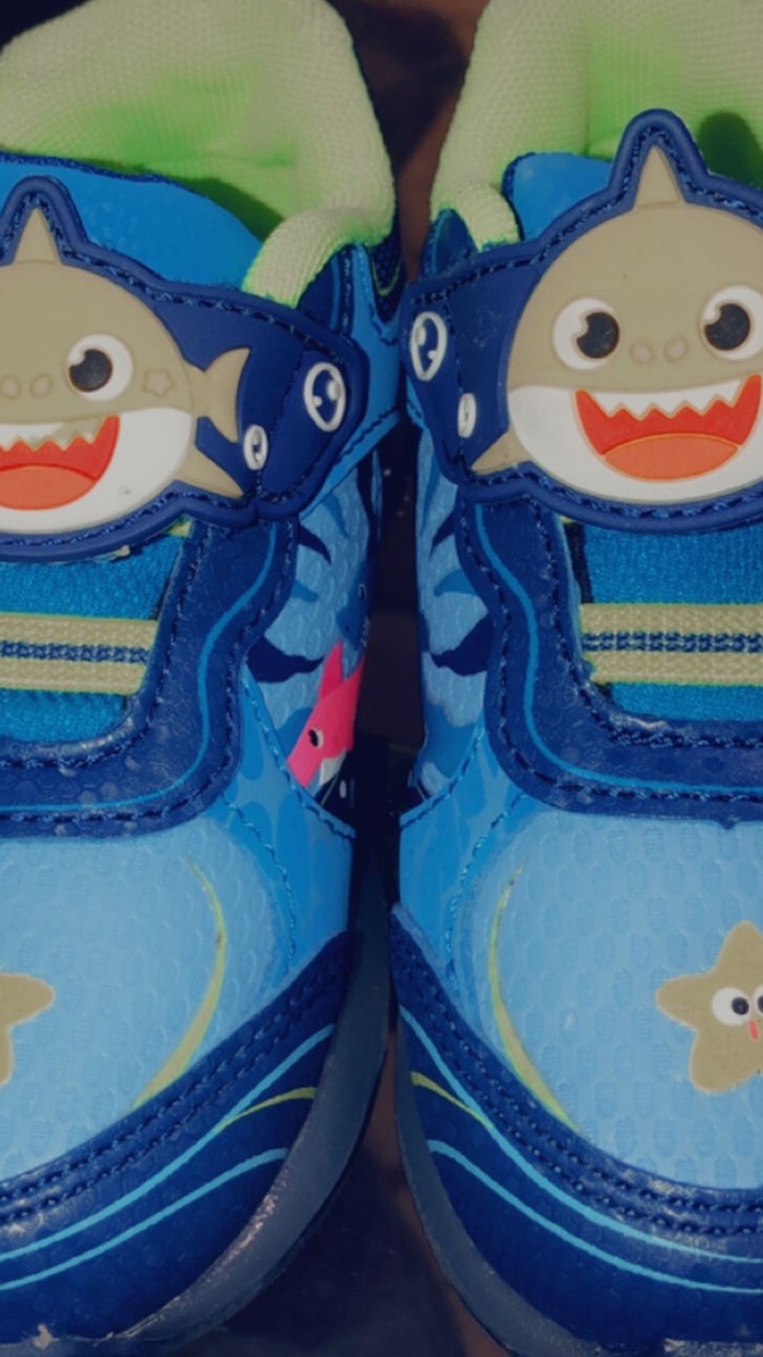 Toddlers Shark Tennis