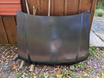 02-09 Chevrolet Trailblazer Hood