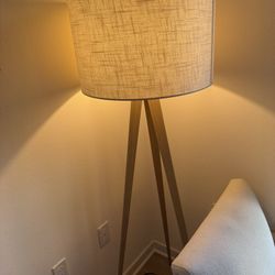 Modern Tripod Floor Lamp – 3 Light Settings – $80
