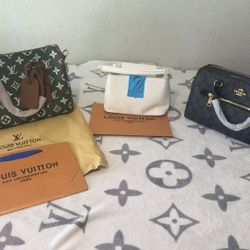Woman Purses 