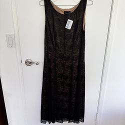 Lace Black Dress New With Tag Size 8