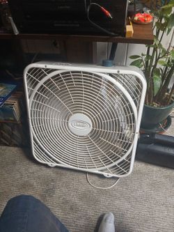 Fan