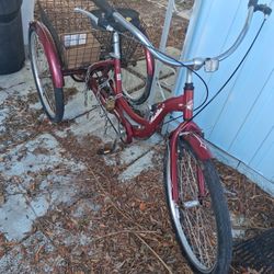Trike For Sale
