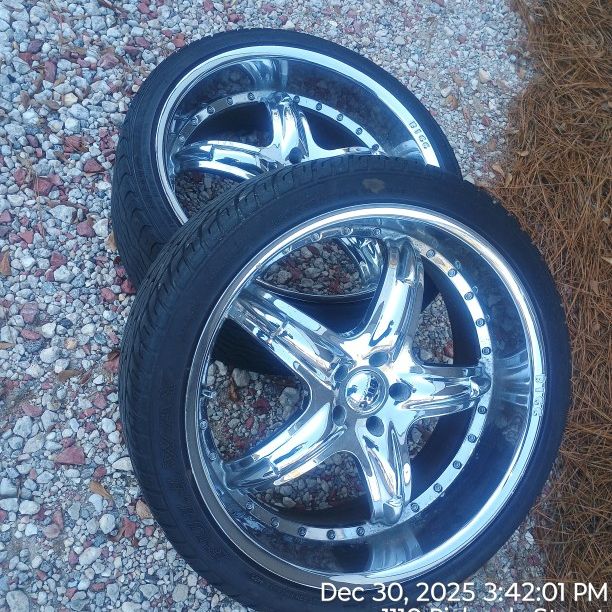 Bigg Rims 22