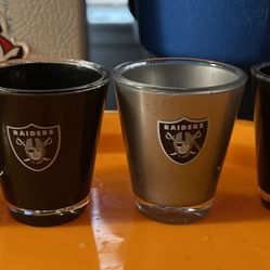 Raiders Plastic Shot Glass  Collectable 
