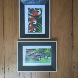 Costa Rica Wildlife Paintings