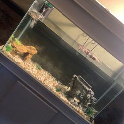 40 Gallon Fish Tank 
