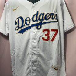 Teoscar Hernandez #37 Men's Los Angeles Dodgers Nike Championship Jersey