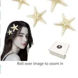4pcs Starfish Hair Clips (350)