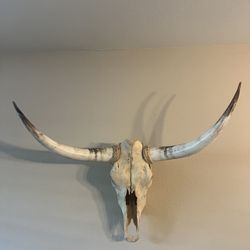 Skull Cow