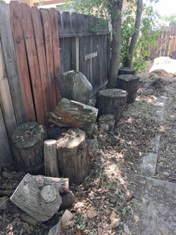 Redwood logs