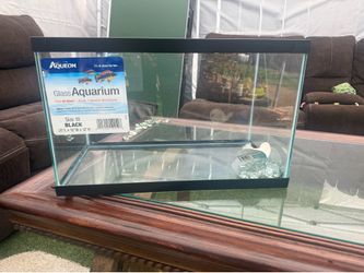 Glass Aquarium