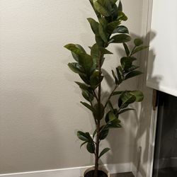 73" Faux Rubber Leaf Tree