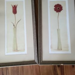 2 Red Flower Pictures 