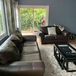Living room leather sofa and love seat