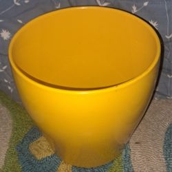 Columbo Yellow Flower Pot Germany