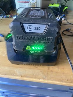 Greenworks CL 250 Battery And Charger