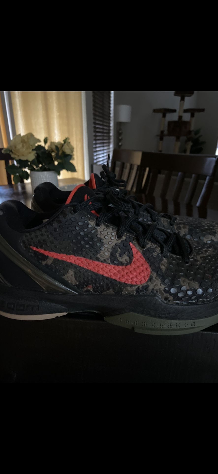 Kobe 6 Protro italian camo