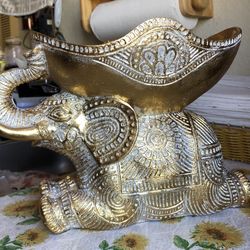 Elephant 