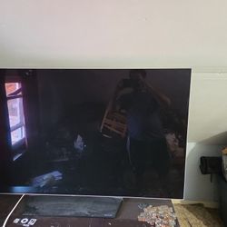 LG Oled 55 TV