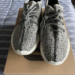 Sz  13.5 Turtle Dove Yeezy 350 