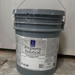 Interior Paint. Color Pure White. Semi Gloss/ Brilliante. Opened, Full 5 Gallons 