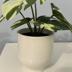 IKEA Flower And Pots 