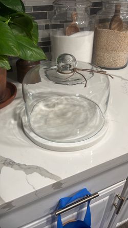 Glass Cloche
