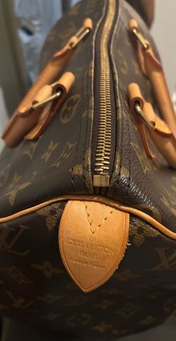 Louis Vuitton purse/bag