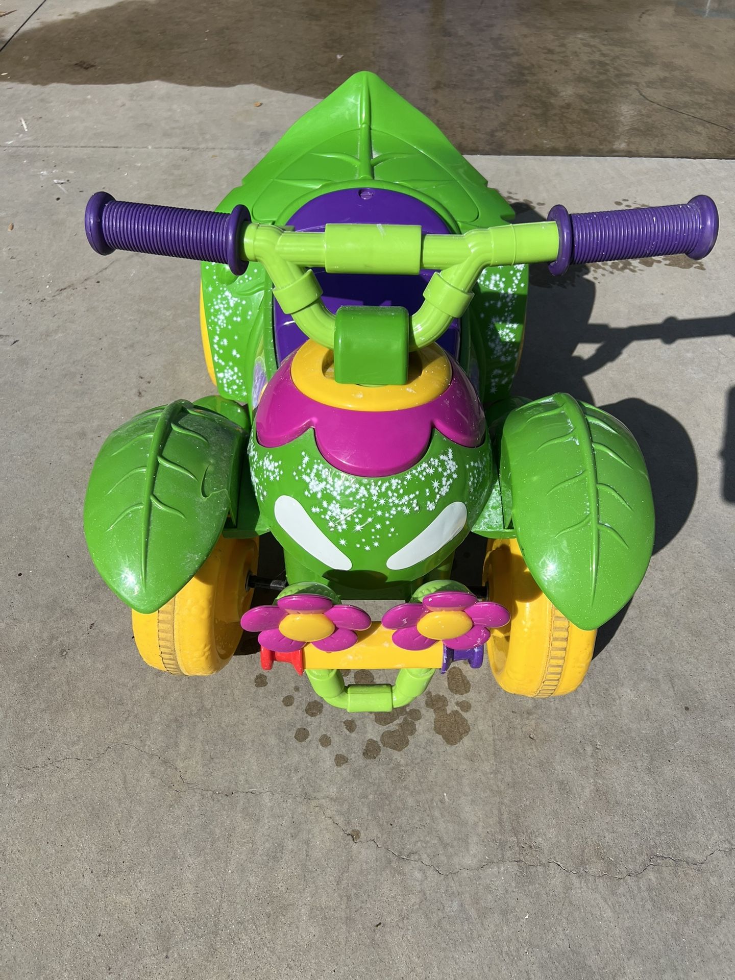 Disney Fairies Ride On You