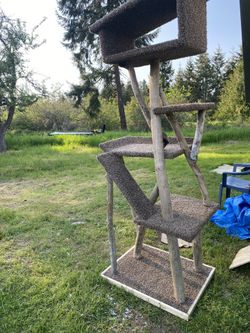 CUSTOM CAT POST!! BRAND NEW!!! 7 FEET TALL - DRIFTWOOD!