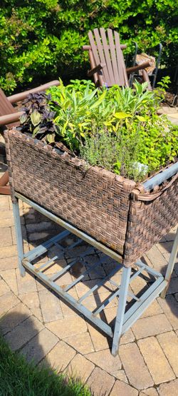 Herb garden!